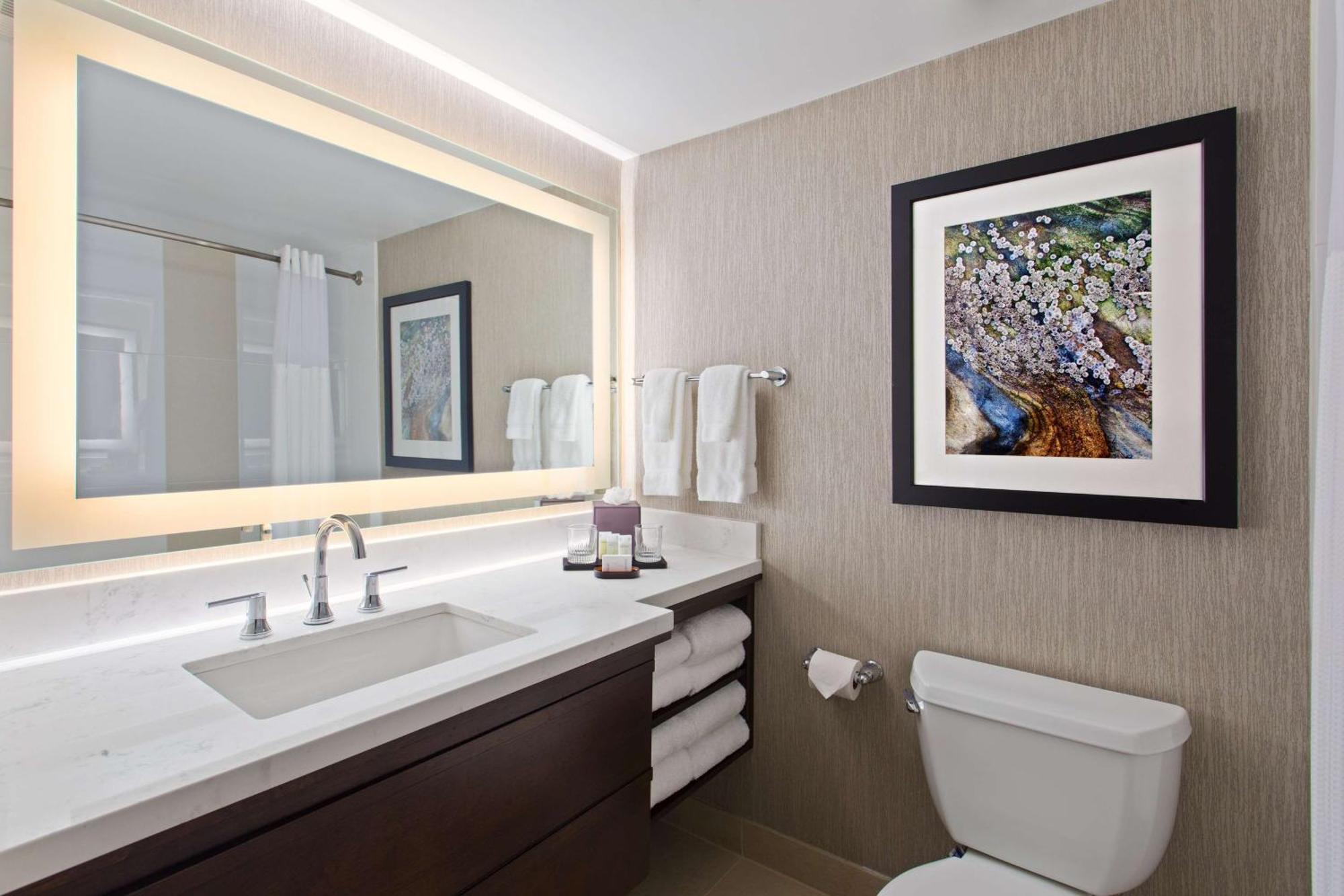 Embassy By Hilton Orlando International Drive Convention Center 3* Williamsburg
