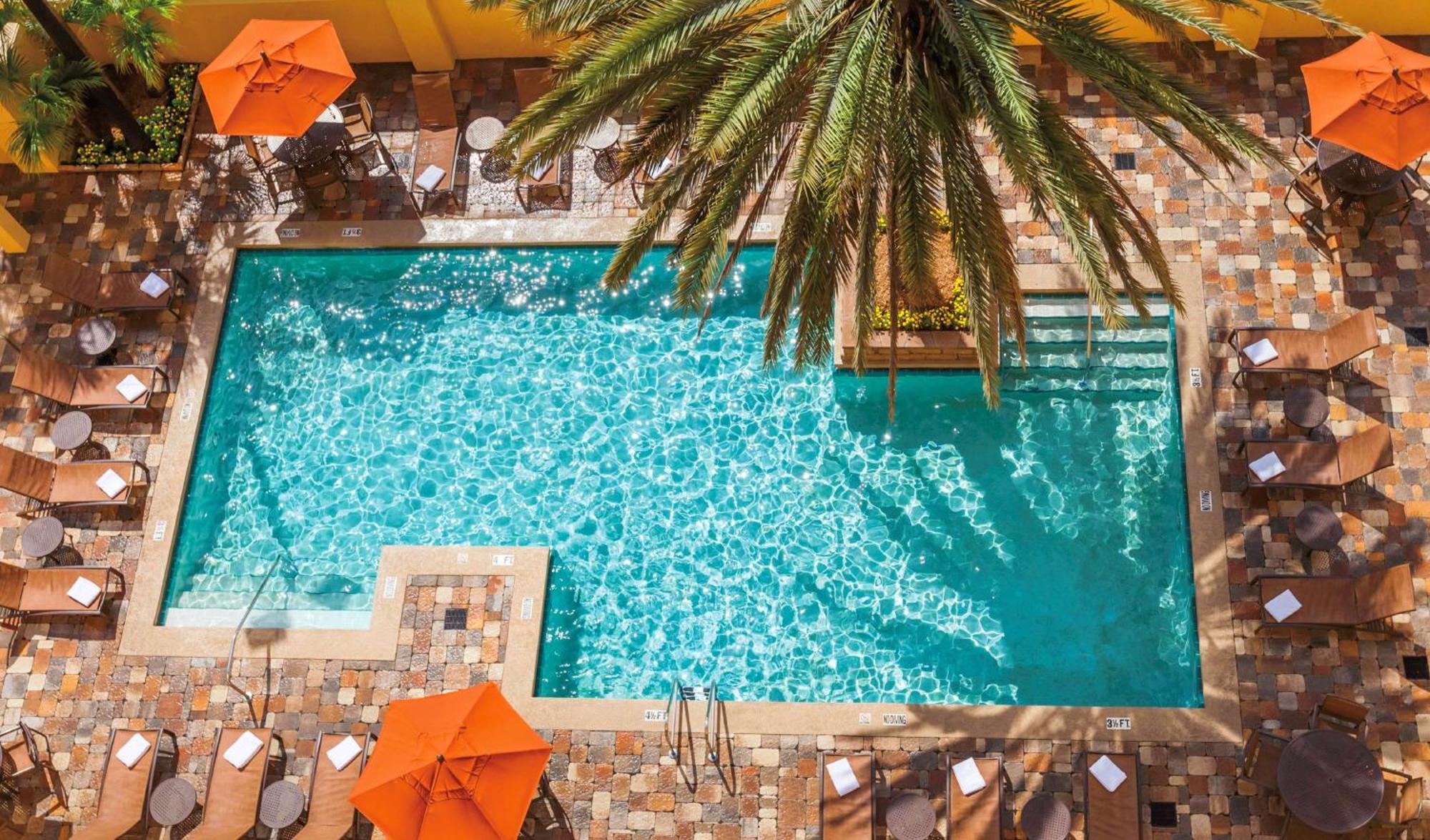 Embassy By Hilton Orlando International Drive Convention Center Hotel Williamsburg