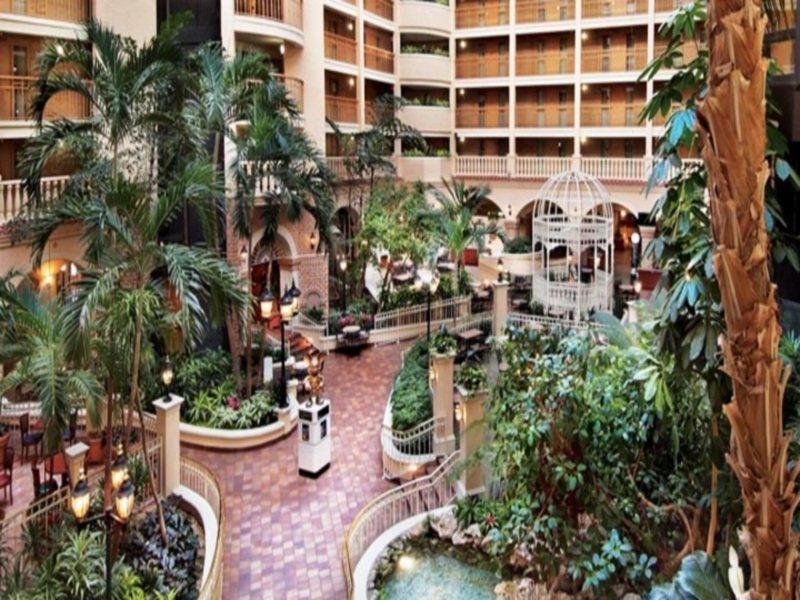 Hotel Embassy By Hilton Orlando International Drive Convention Center