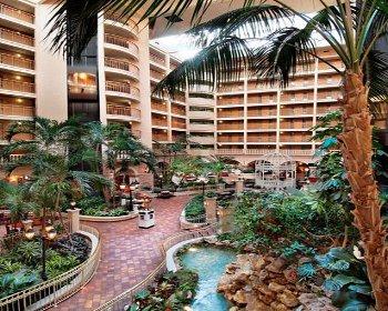 Hotel Embassy By Hilton Orlando International Drive Convention Center